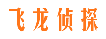 点军市婚外情调查